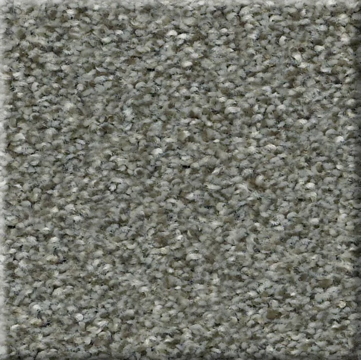 ATTAINABLE (T) 39 15CEDAR RIDGE 2NDS SHAW INDUSTRIES, INC CARPET 