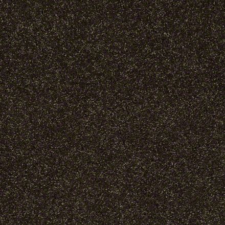 BRIGHT IDEA III 15 63 37DARK CHOCOLATE 1ST SHAW INDUSTRIES, INC CARPET 