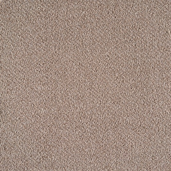 CELEBRATION 60 12NEWBORN 1ST SOUTHWIND CARPET MILLS CARPET 