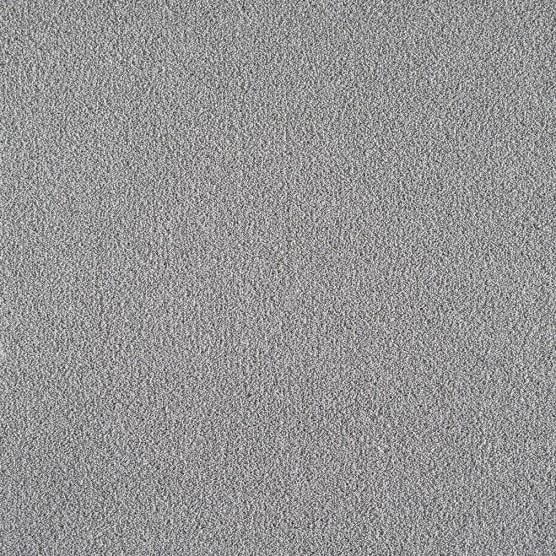 CELEBRATION 60 15SILVER ANNIVERSARY 1ST SOUTHWIND CARPET MILLS CARPET 