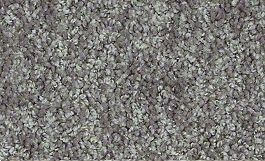 DAZZLING (S) 15 25VINTAGE GREY 1ST SHAW INDUSTRIES, INC CARPET 