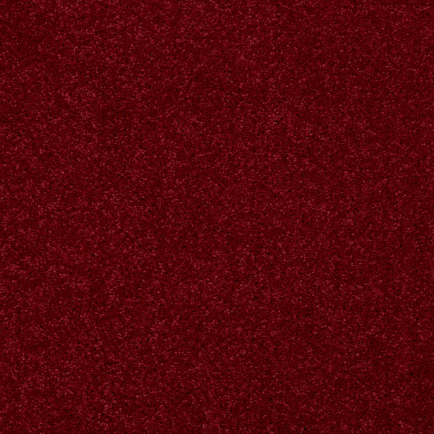 DYERSBURG CLASSIC 12 29 28CRIMSON 1ST SHAW INDUSTRIES, INC CARPET 