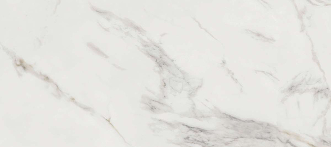 ELIZABETH 20X40 ALPINO MATTE TILE