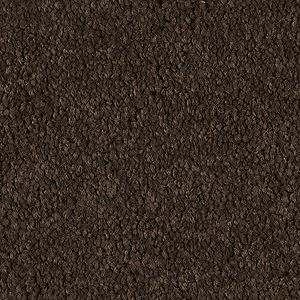 EVERYDAY COMFORT (S) 39 27BROWN SUGAR 1ST SHAW INDUSTRIES, INC CARPET
