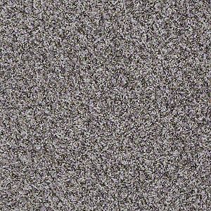FANTASTIC II (B) 25 15FORGED IRON 1ST SHAW INDUSTRIES, INC CARPET