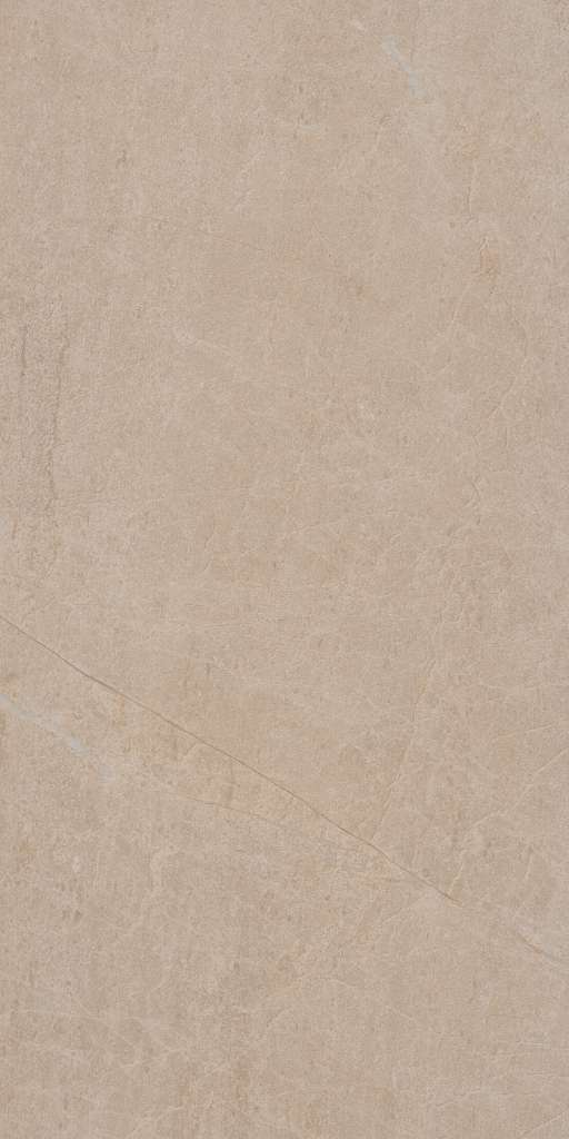 FERVOR 12X24 HORIZON (SPECIAL ORDER) TILE 