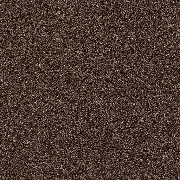 FIND YOUR COMFORT II (T) 53 17CHOCOLATE TREAT 2NDS SHAW INDUSTRIES, INC CARPET 