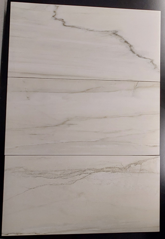 FOSSILE 12X24 FOSSILE POLISHED TILE 