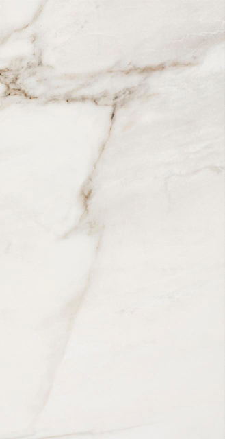 FOSSILE 12X24 FOSSILE MATTE TILE 