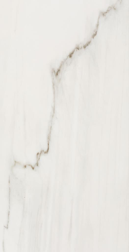 FOSSILE 12X24 FOSSILE MATTE TILE 