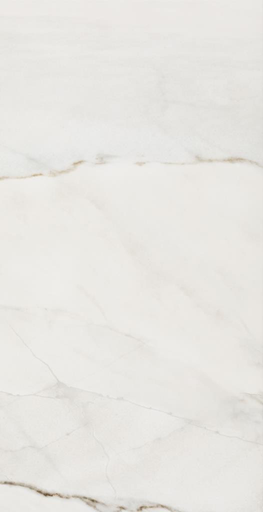 FOSSILE 12X24 FOSSILE POLISHED TILE 