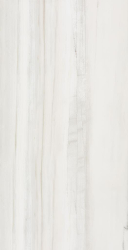 FOSSILE 12X24 FOSSILE POLISHED TILE 