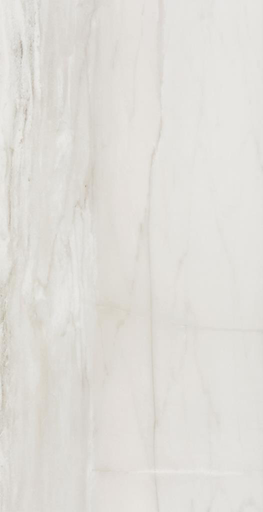 FOSSILE 12X24 FOSSILE MATTE TILE 