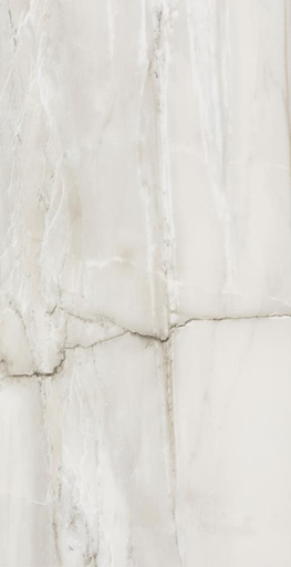 FOSSILE 12X24 FOSSILE POLISHED TILE 