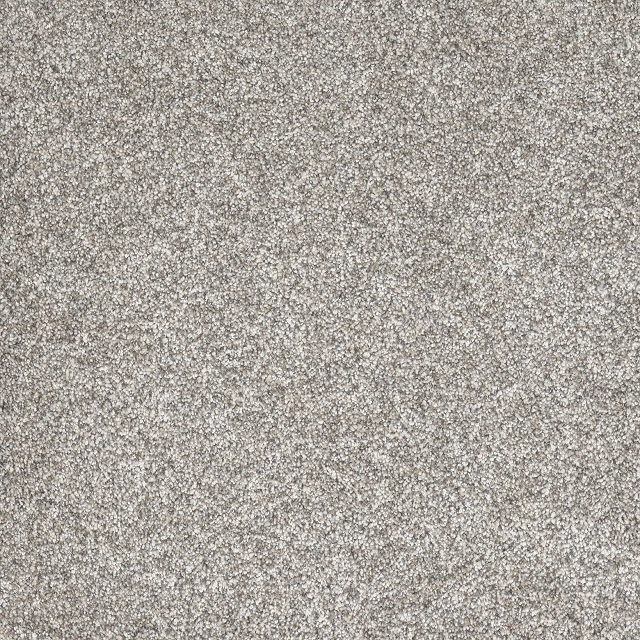 LUXURIOUS 65 15HAPPY PLACE 1ST MATHEWS&PARLO CARPET CARPET 