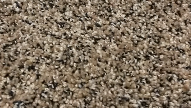 MUST HAVE IT 38 27POPPY SEED BUN 1ST MATHEWS&PARLO CARPET CARPET 