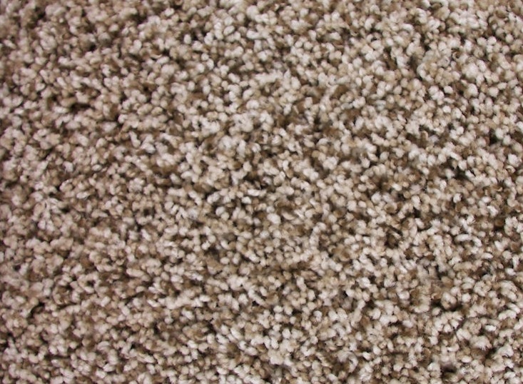 NEED TO HAVE IT 31 22WHIPPED CHOCOLATE CHIP 1ST MATHEWS&PARLO CARPET CARPET 