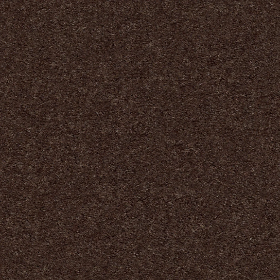 HEROIC 25 27TRUFFLE 2NDS SHAW INDUSTRIES, INC CARPET 