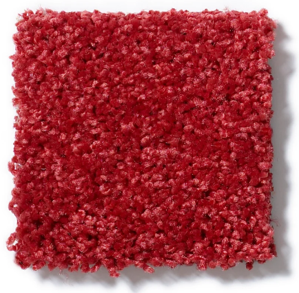 KIDS RULE 31 28FIRE ENGINE 2NDS SHAW INDUSTRIES, INC CARPET 