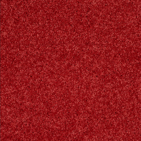 KIDS RULE 31 28FIRE ENGINE 2NDS SHAW INDUSTRIES, INC CARPET 