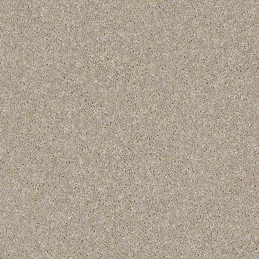 LIFES IMPRESSION 25 W/WATER PROOF BACKING 22SOFT CHENILLE 1ST SHAW INDUSTRIES, INC CARPET 