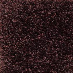 OKLAHOMA 45 27BUFFALO 1ST SHAW INDUSTRIES, INC CARPET 