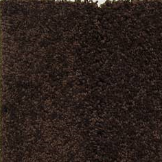 OKLAHOMA 45 27LEATHER HIDE 1ST SHAW INDUSTRIES, INC CARPET