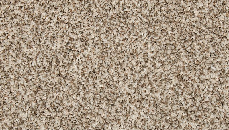 ELITE EIGHT PLUS 35 12KALO 1ST MOHAWK CARPET 