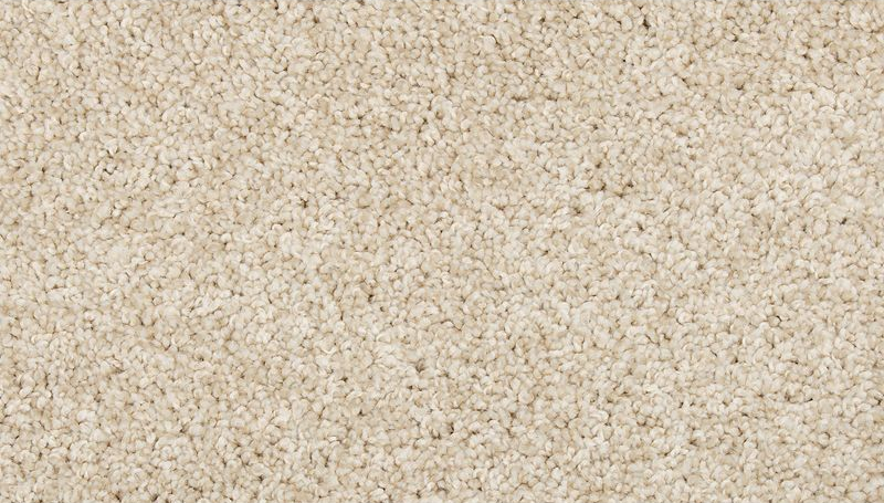 ELITE EIGHT PLUS 35 11BEYE 1ST MOHAWK CARPET 