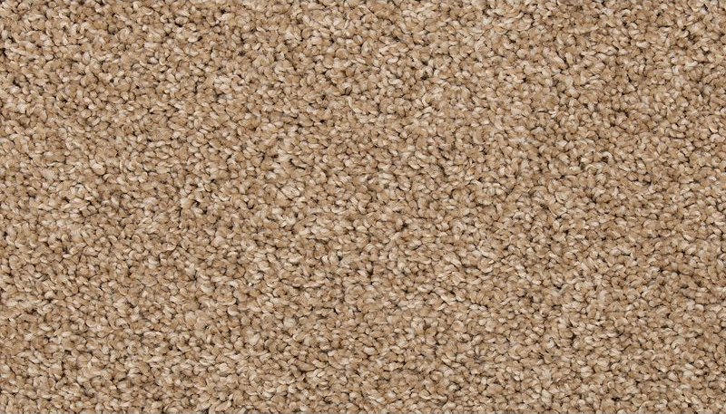 ELITE EIGHT PLUS 35 17TOASTIES 1ST MOHAWK CARPET 