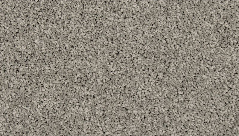ELITE EIGHT PLUS 35 25FEGO 1ST MOHAWK CARPET 