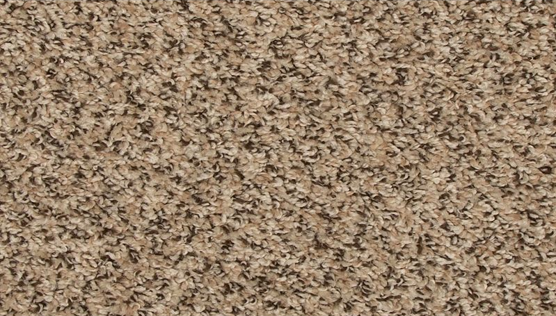 ELITE EIGHT 25 12BERNA 1ST MOHAWK CARPET 