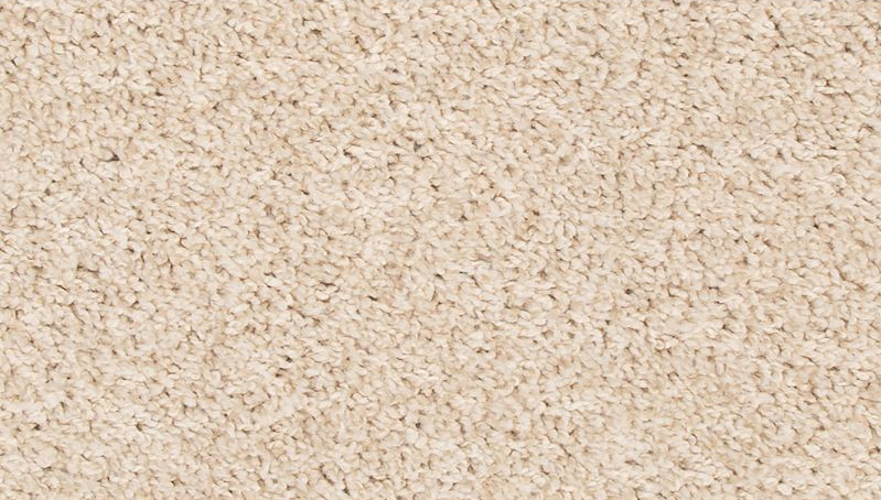 ELITE EIGHT 25 11BEYE 1ST MOHAWK CARPET 