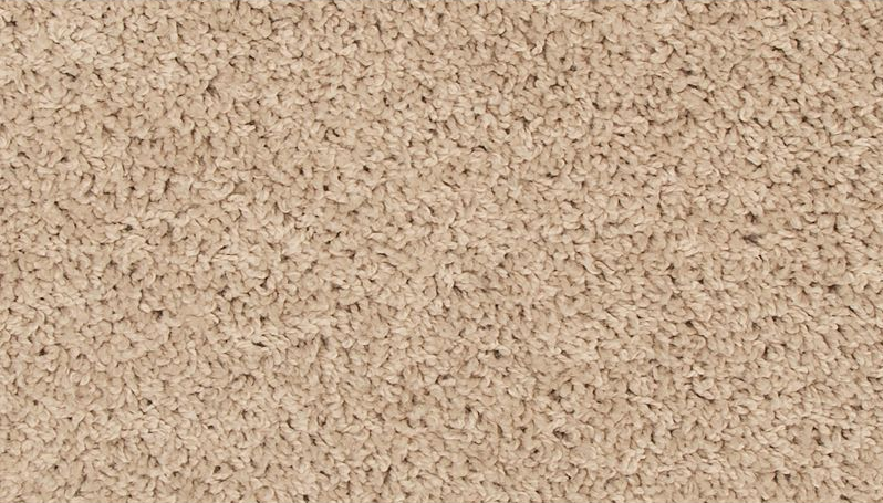 ELITE EIGHT 25 21CHITO 1ST MOHAWK CARPET 