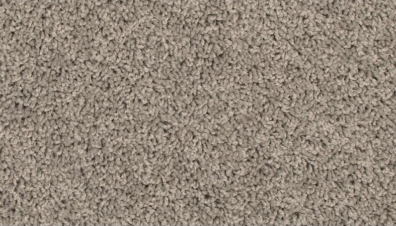 ELITE EIGHT 25 25FEGO 1ST MOHAWK CARPET 
