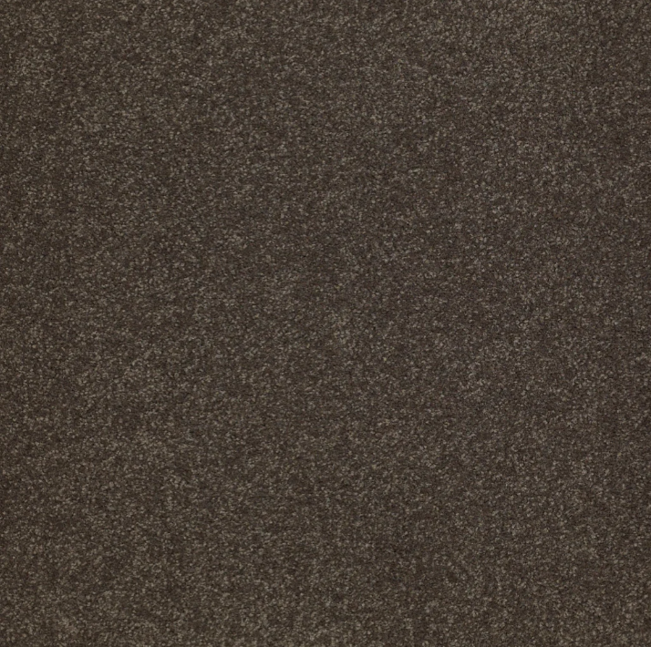 SANDY HOLLOW CLASSIC III 12 58 27ARROWHEAD 2NDS SHAW INDUSTRIES, INC CARPET 