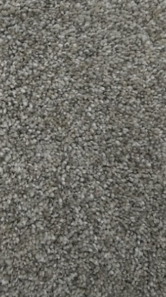 SN60S 60 123 1ST MATHEWS&PARLO CARPET CARPET 