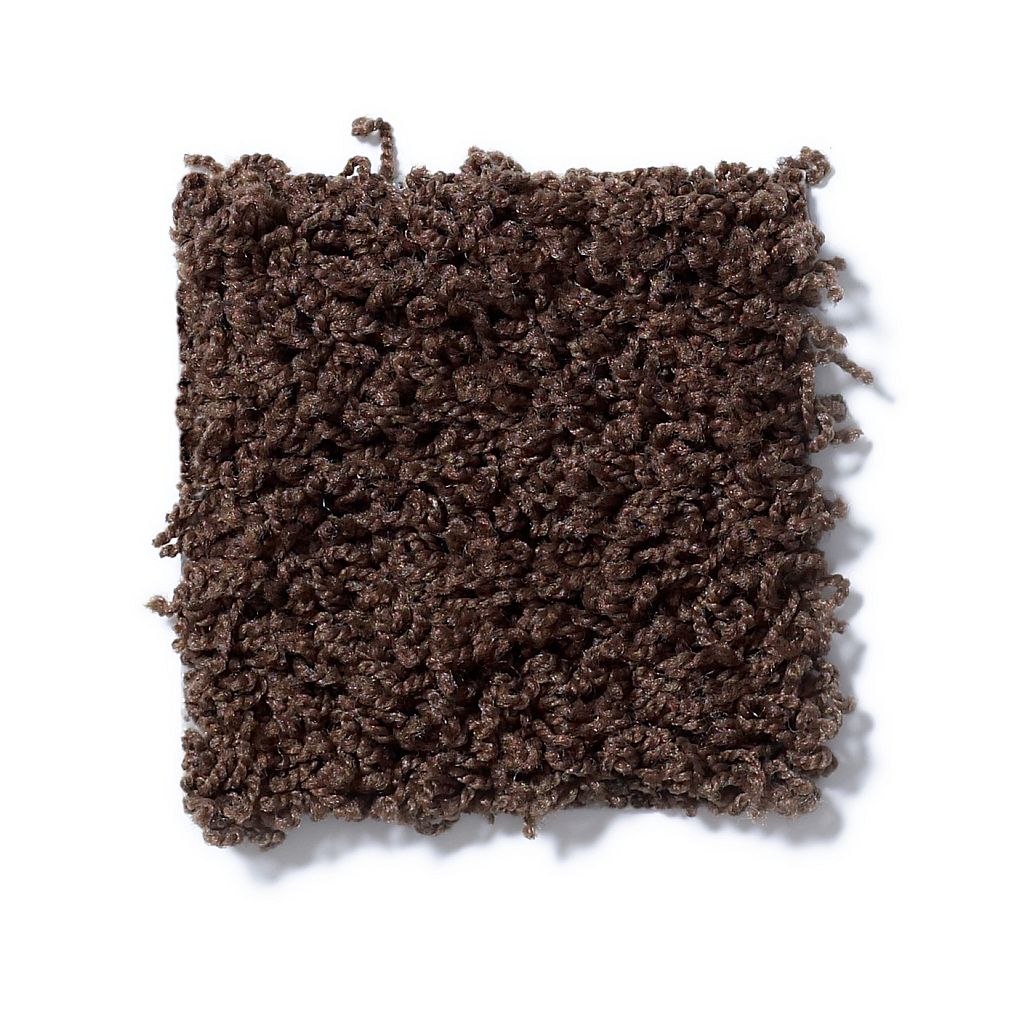 STRIKER 25 27DARK FUDGE 1ST SHAW INDUSTRIES, INC CARPET