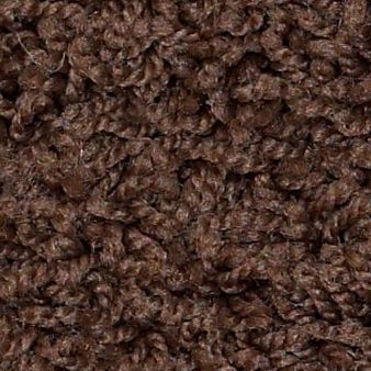 STRIKER 25 27DARK FUDGE 1ST SHAW INDUSTRIES, INC CARPET