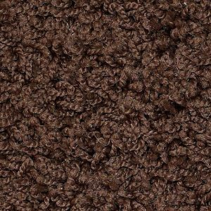 STRIKER 25 27DARK FUDGE 1ST SHAW INDUSTRIES, INC CARPET