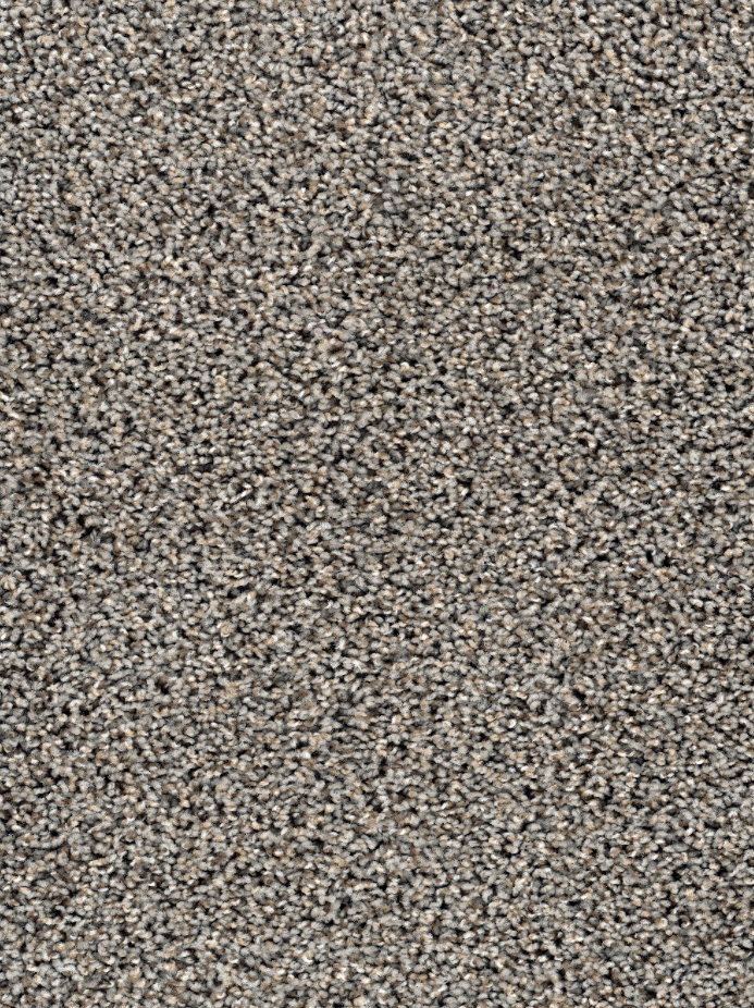 SWEEPSTAKES 20 12CREEK BEND 1ST DREAM WEAVER CARPET