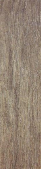 TAIGA 6X24 WALNUT TILE 