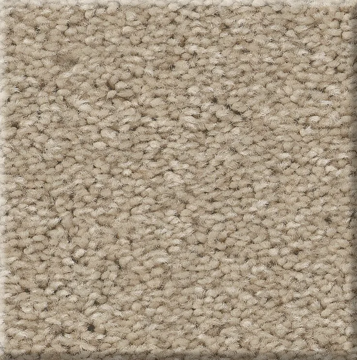 WELL MADE 34 21AGATE 2NDS SHAW INDUSTRIES, INC CARPET 