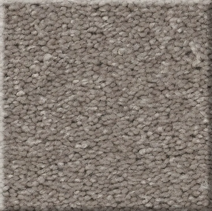 WELL MADE 34 25MOCHA FROST 2NDS SHAW INDUSTRIES, INC CARPET 