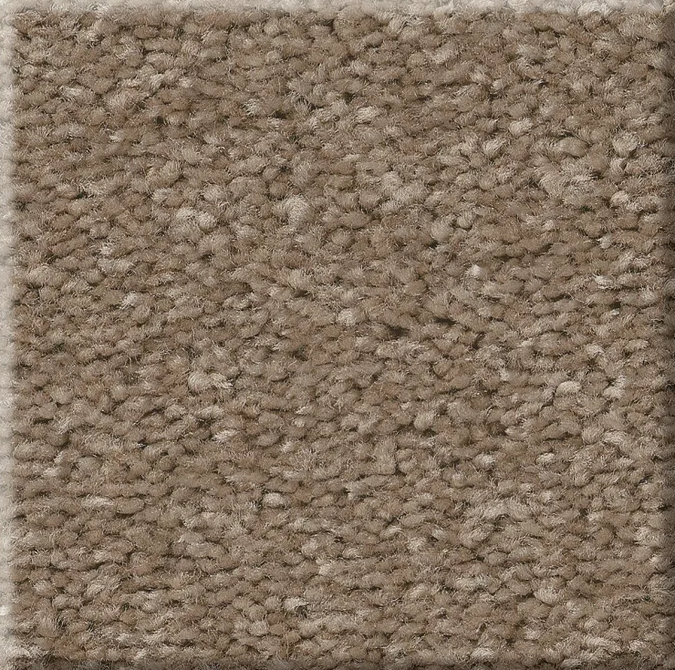 WELL MADE 34 22PEBBLE CREEK 2NDS SHAW INDUSTRIES, INC CARPET 