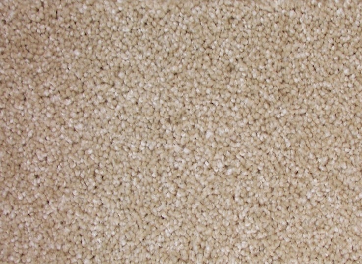 YOU DESERVE IT 60 21BANANA CREAM PIE 1ST MATHEWS&PARLO CARPET CARPET 