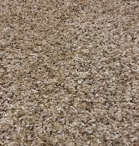 YOU WANT IT 58 27CARAMEL SENSATION 1ST MATHEWS&PARLO CARPET CARPET