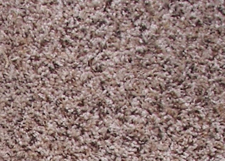 YOU WANT IT 58 21COOKIES N CREAM 1ST MATHEWS&PARLO CARPET CARPET